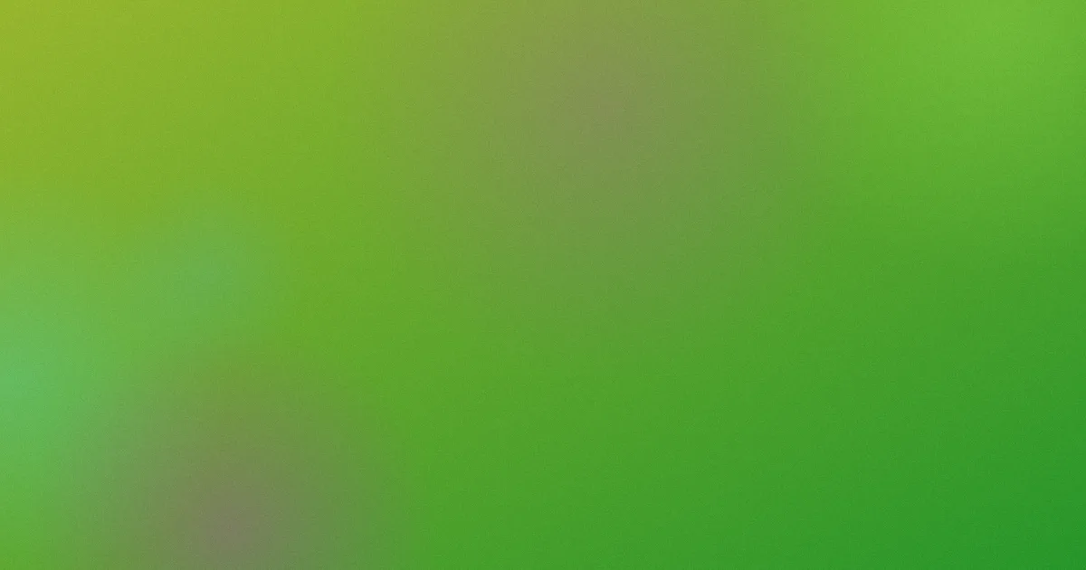 直接看片是什么？新手看这篇